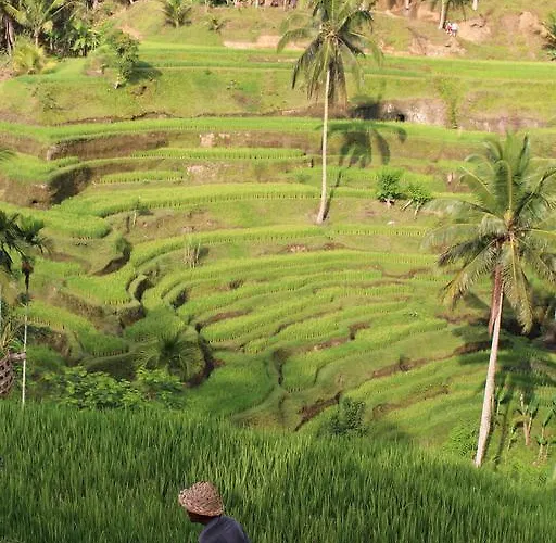 Uma Kama * Ubud