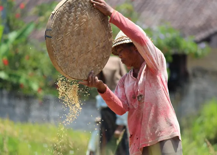 Uma Kama Villa Ubud