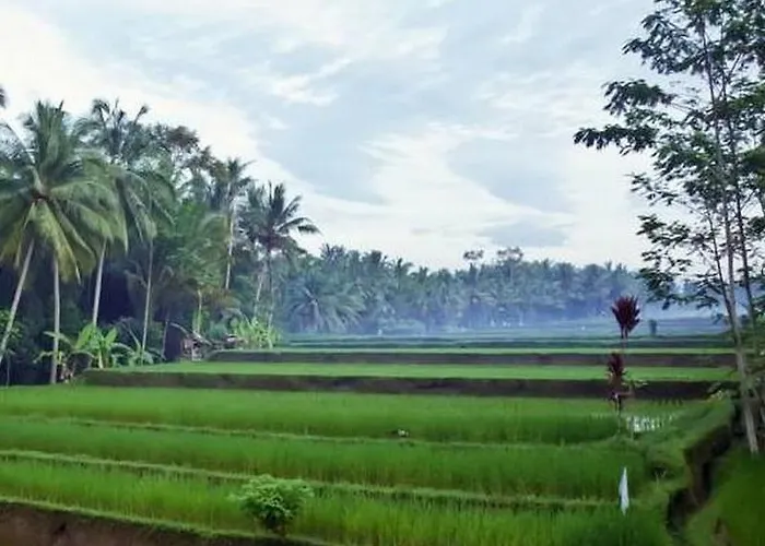 Uma Kama * Ubud